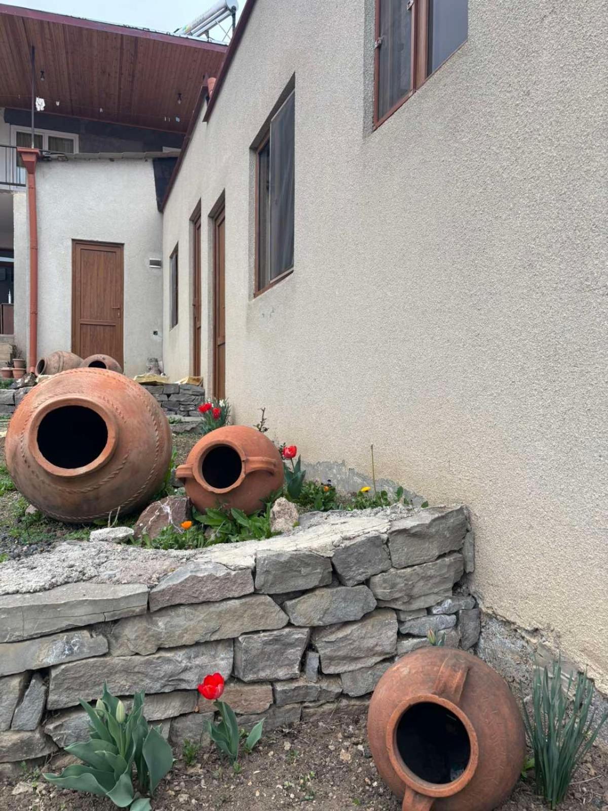 Saro B&B And Safari Tours Tat'ev Exterior photo